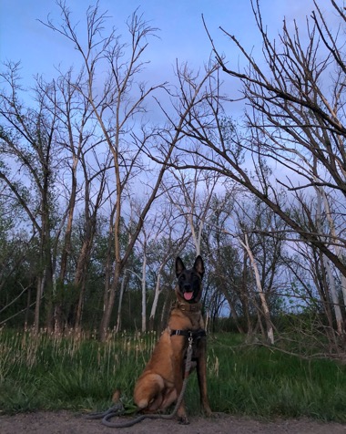 Arya enjoying a nice walk through Clear Creek