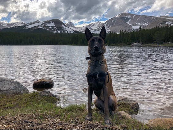 Arya taking in the sights of Lake Isabelle