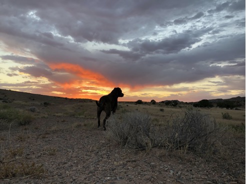 Webster taking in the sunset near Moab Utah